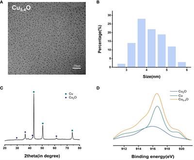 hCeO2@ Cu5.4O nanoparticle alleviates inflammatory responses by regulating the CTSB–NLRP3 signaling pathway